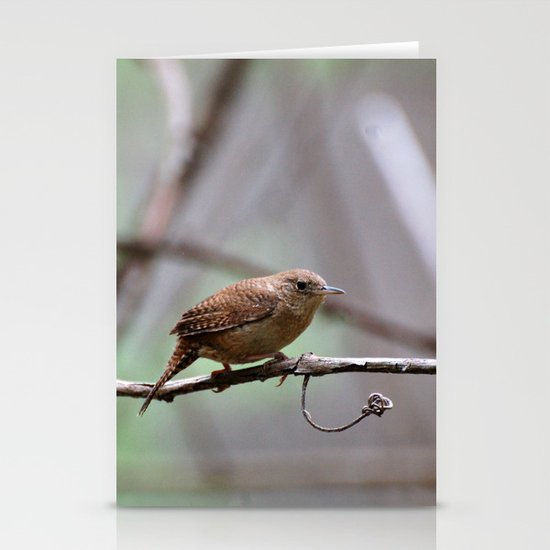 Bird Stationery Cards