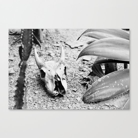DEATH VALLEY Canvas Print