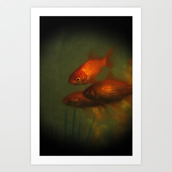 Goldfish In Antiquity Art Print