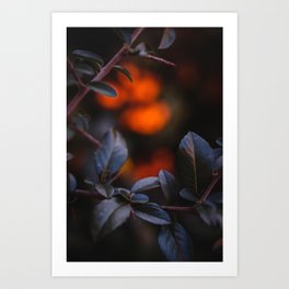 Moody fall leaves nature photography Art Print