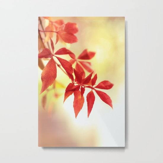 Fiery Creeper Metal Print