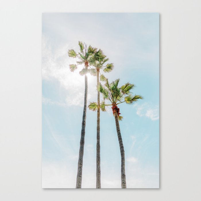 3 Palm Trees Canvas Print