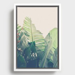 Diversity - tropical banana leaf photograph Framed Canvas