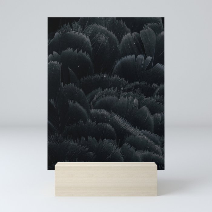 Black swan feathers Mini Art Print