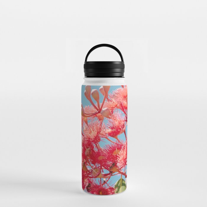 Gum tree and a bee Water Bottle