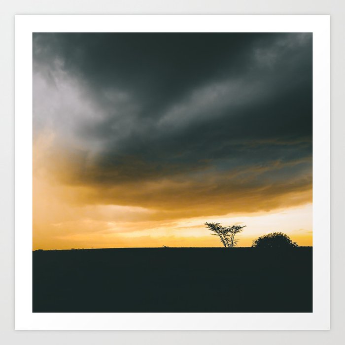 South Africa Photography - The Silhouette Of A Savannah Art Print