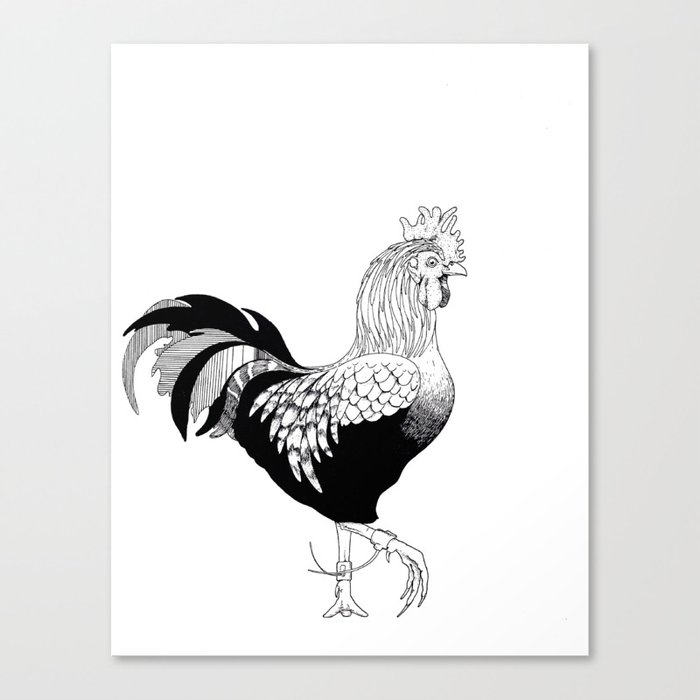 Cock Canvas Print