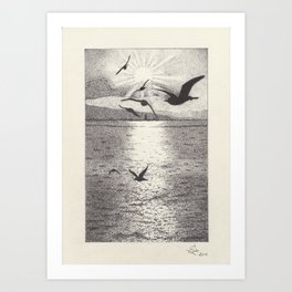 Seagulls - Pen and Ink Illustration Art Print