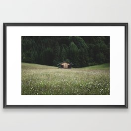 Alpine symmetry Framed Art Print