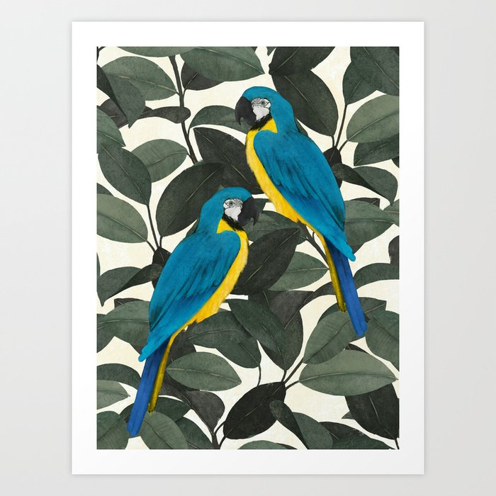 Parrots and jungle II Art Print