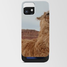 Argentina Photography - Llama In The Mountain Filled Desert iPhone Card Case