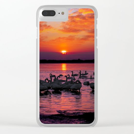 swans at sunset Clear iPhone Case