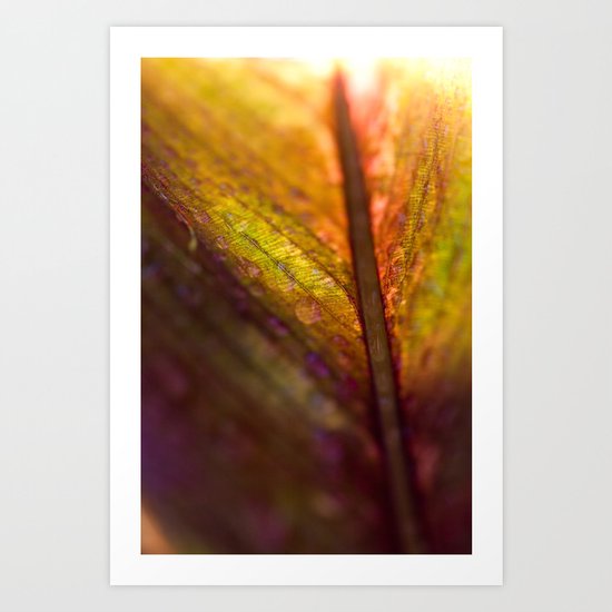 Soulful Art Print