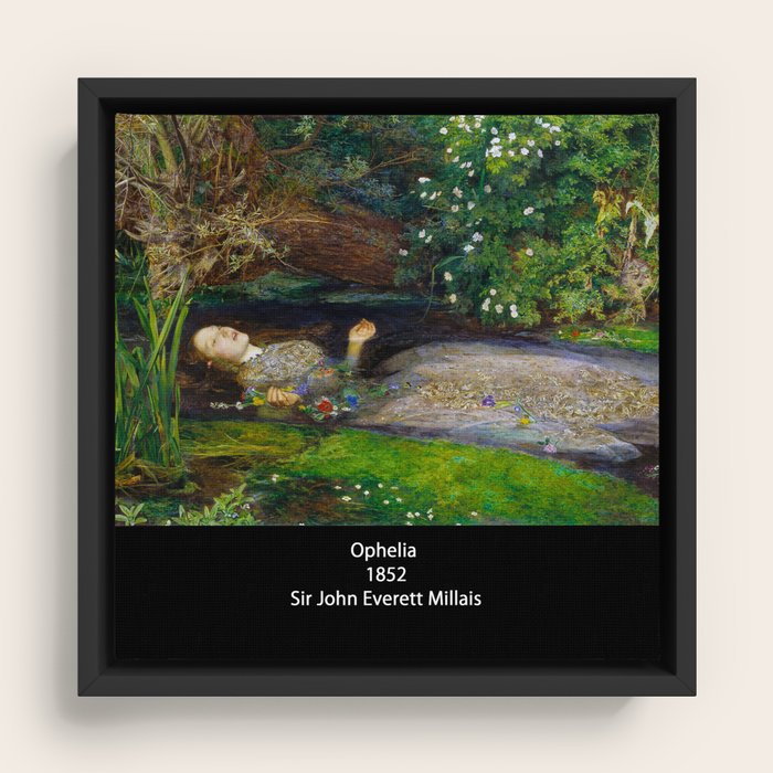 Framed Canvas