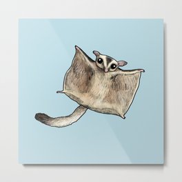Sugar Glider Metal Print | Quirky, Squirrel, Sugar, Drawing, Baby, Illustration, Awesome, Nature, Sugarglider, Bush 