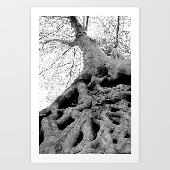 Taking Root Art Print