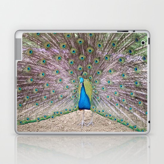 peacock Laptop & iPad Skin