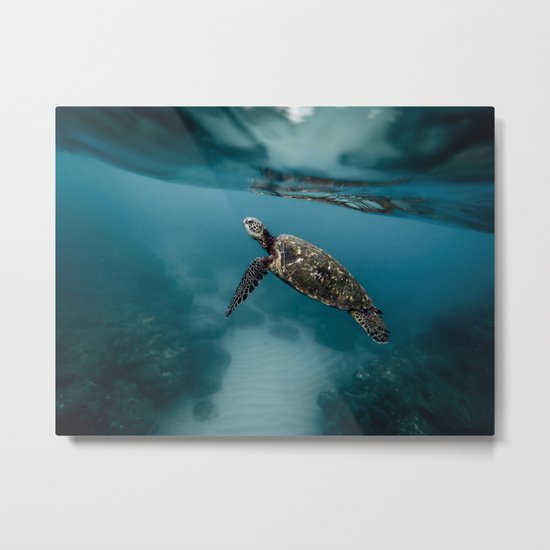 Take a peek Metal Print