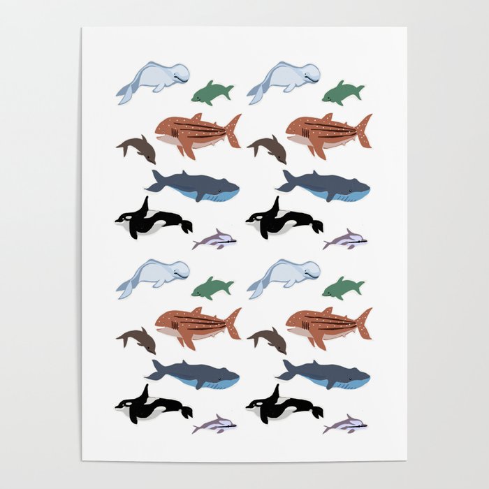 Whales & Dolphins Poster