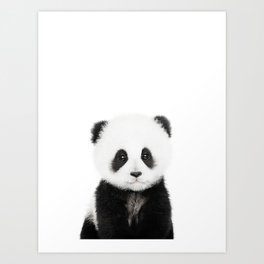 Baby Panda Art Print | Adorable, Nursery, Babyshower, Modern, Contemporary, Photo, Children, Panda, Portret, Minimal 
