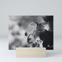 Autumn Grape Leaf in Black and White Mini Art Print
