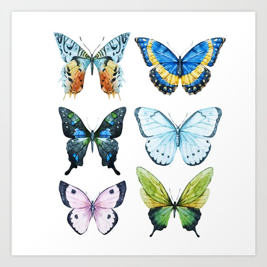Butterflies 02 Art Print