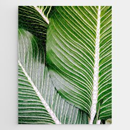 Big Leaves - Tropical Nature Photography Jigsaw Puzzle