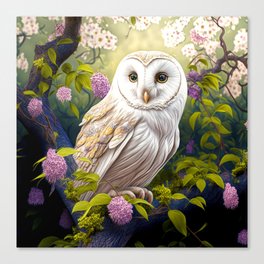 white owl bird Canvas Print