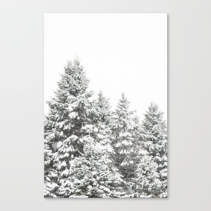 Snowy Pine Trees Canvas Print