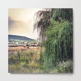Willow and the suburbia Metal Print