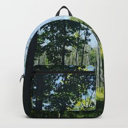 Wetlands in Full Swing from The Magic Glamp in Argyle Upstate New York Backpack | Sky, Cottagecore, Woodland, Trees, Vickinoble, Wetlands, Forest, America, Newyork, Noblehomestead 