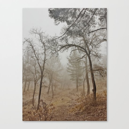 "Mistery forest". Wandering today Canvas Print