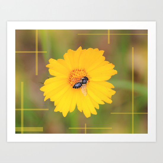 The Bee And The Flower Art Print