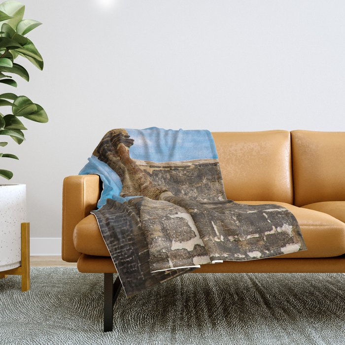 Tiffany throw blanket discount
