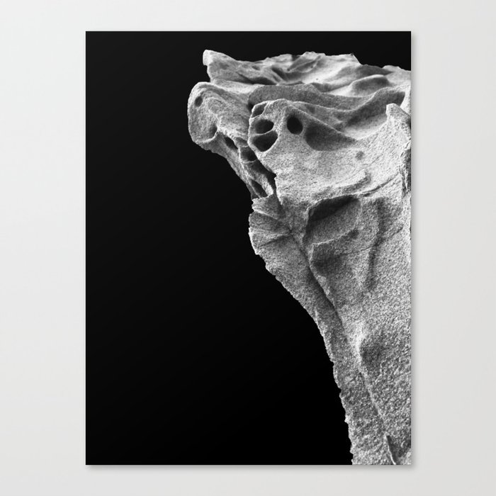 Untitled Object Five Canvas Print