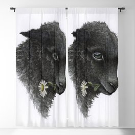 Black sheep Blackout Curtain