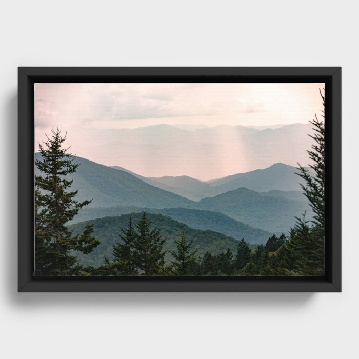 Framed Canvas