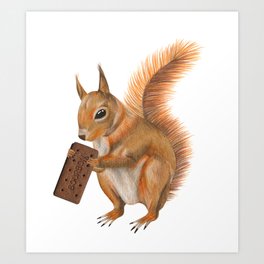 Super squirrel. Art Print