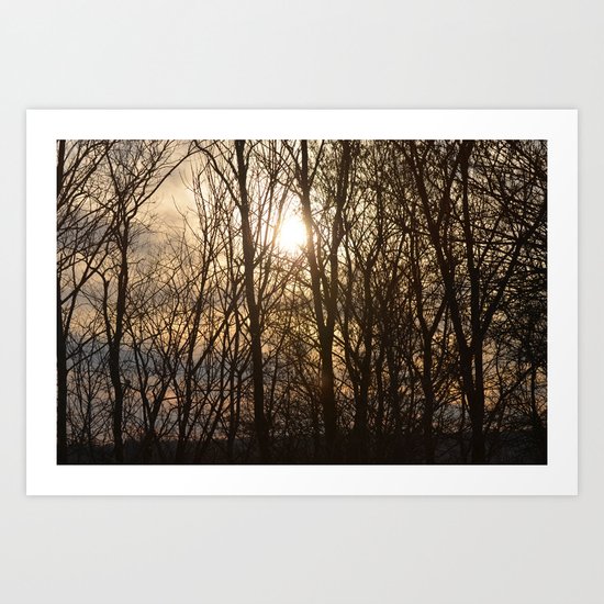 Iowa Winter Sun Art Print