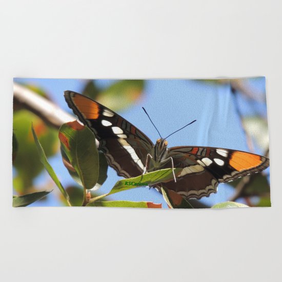 California Sister Butterfly on Oak Leaves Beach Towel
