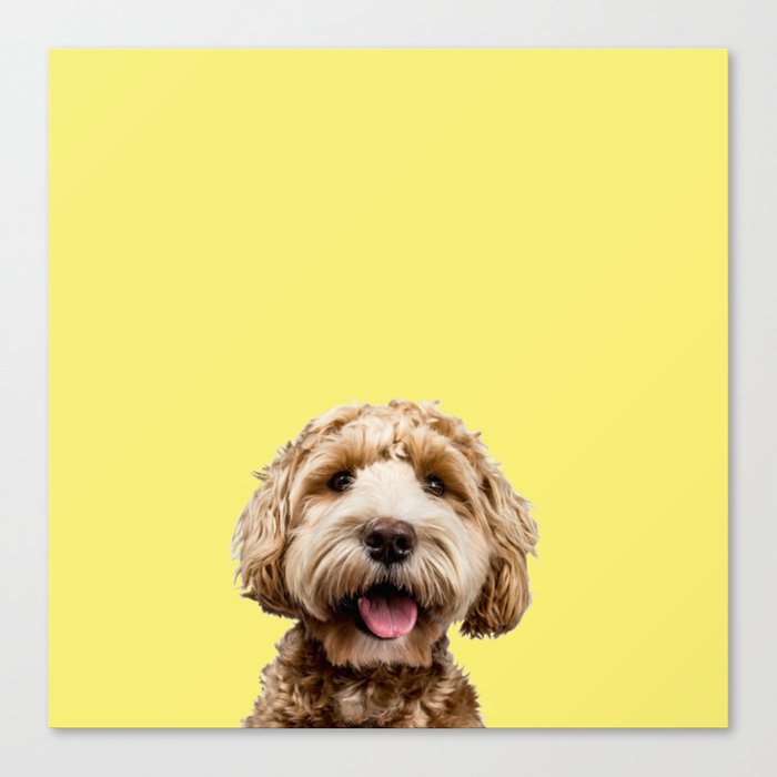 Happy Goldendoodle on Yellow Background Canvas Print