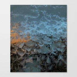 Behind the Frost Canvas Print