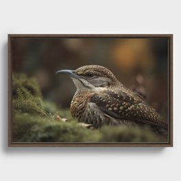 Birds of the Jungle-2 Framed Canvas