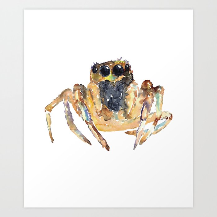 Jumping Spider painting watercolour Art Print