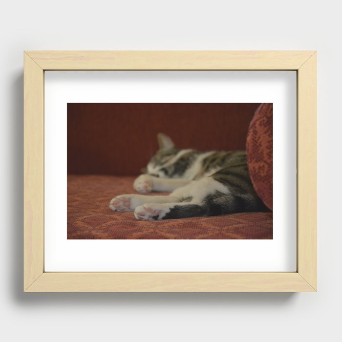 Cat Paws Recessed Framed Print