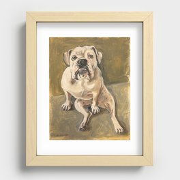 Camilla Bulldog Recessed Framed Print