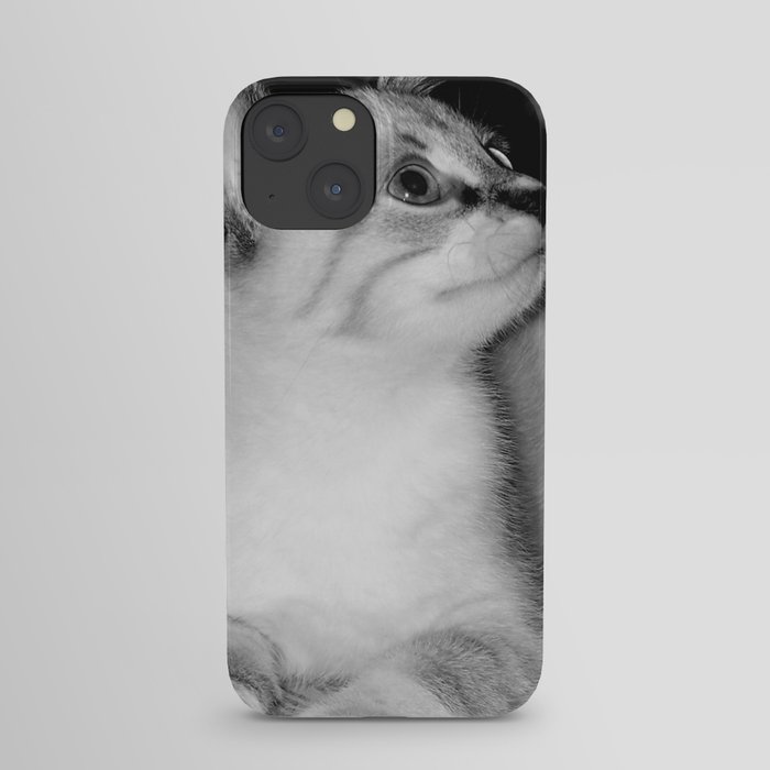 Curious Kitty iPhone Case