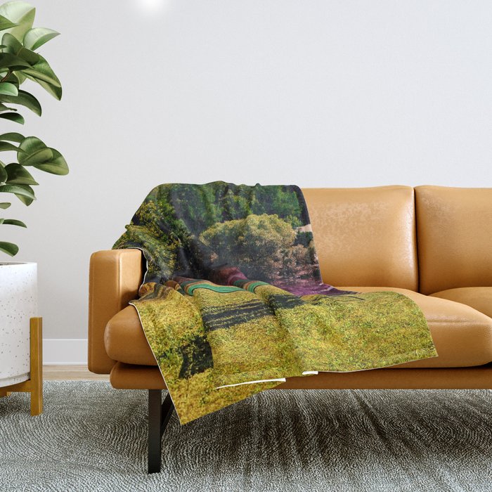 Throw blanket on bench clearance