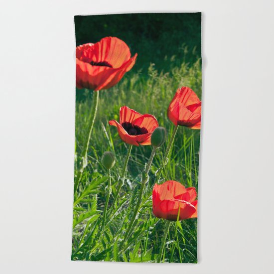 Dream of Red Poppies Beach Towel