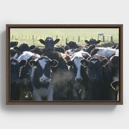 A Herd of Cows Framed Canvas